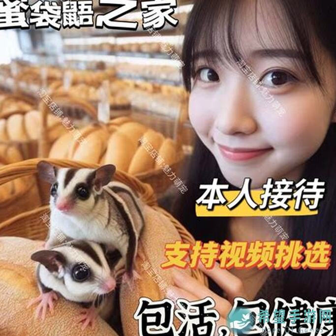 飞吧龙骑士梦境第三章第二关零失误通关攻略！教你秒变战神，对手望尘莫及！