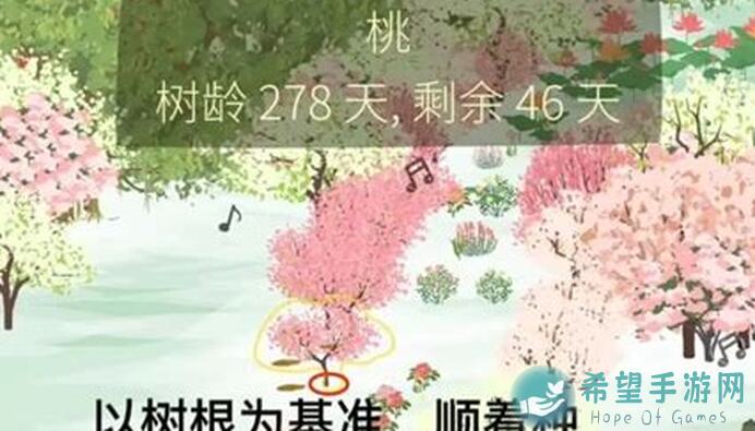 老农种树炸街攻略图揭秘！究竟如何零散布局，收获满满？