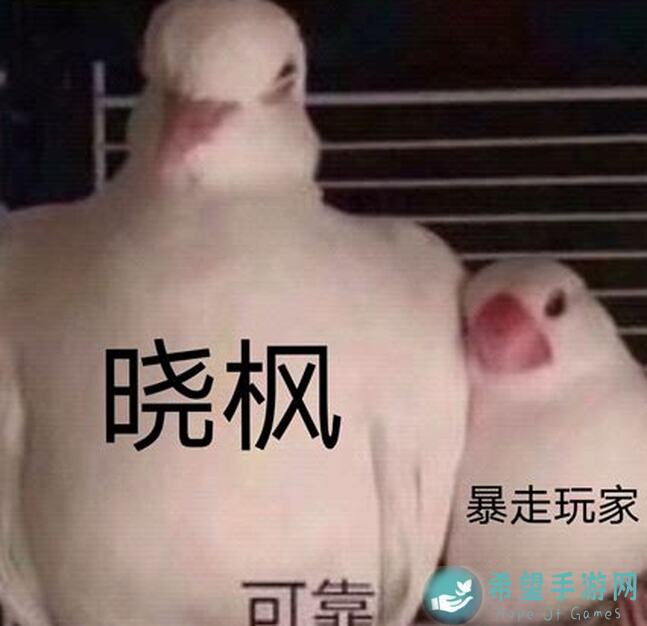 必备！暴走英雄坛玄冥玄阴神掌全攻略，秒懂秒杀!