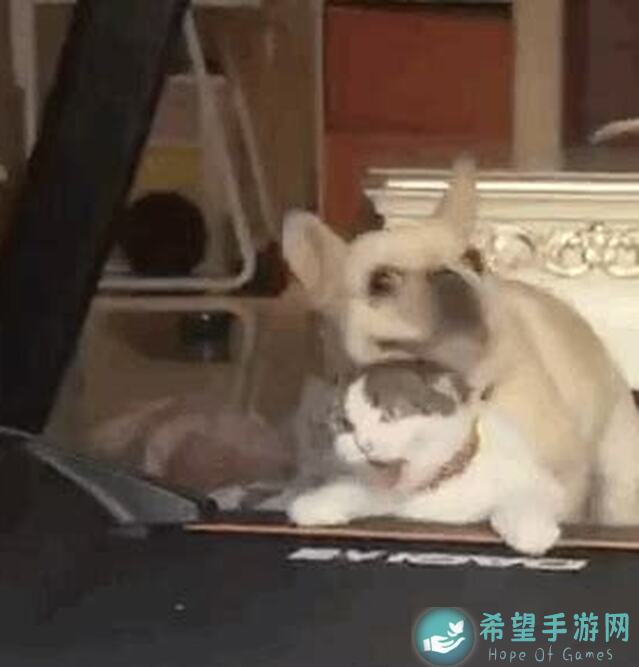 Gacha Club搞笑表情包轻松学会，5分钟速成俩鬼畜神器，性价比超高的玩法揭秘！