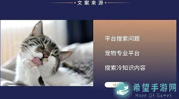 超数据世界3招让你秒懂宠物冷知识，性价比爆表攻略披露！