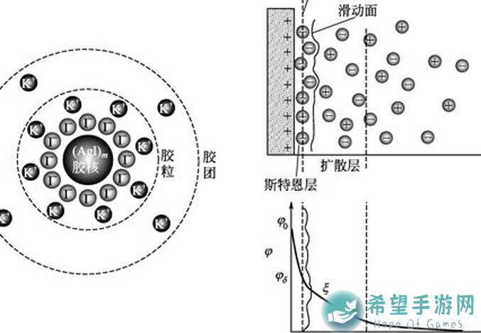 电商直播伊洛纳最强输出攻略：如何轻松秒变战神？快速学会输出技巧，让你轻松破万伤害！