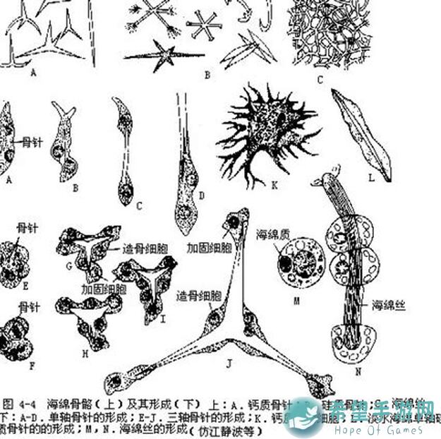 动物森林小白新手攻略：开局3只老鼠，教你快速上手战力提升全解析！