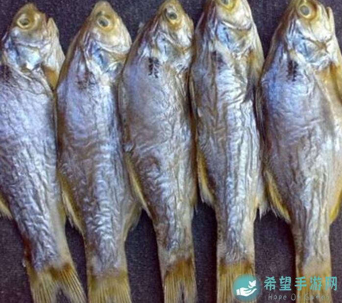 咸鱼之王：咸鱼王营地招募令全攻略，永动指南实用干货大揭秘！