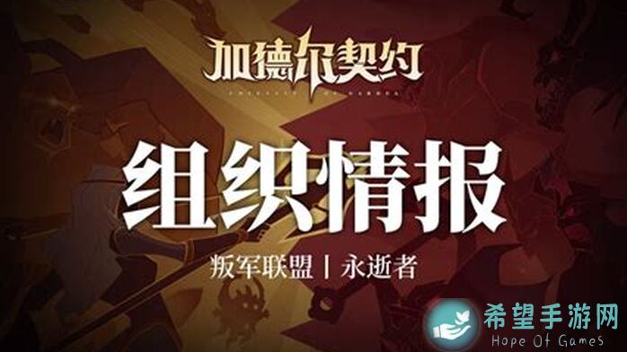 加德尔契约独家攻略：揭秘紫卡橙卡英雄搭配技巧，提升战力大作战！