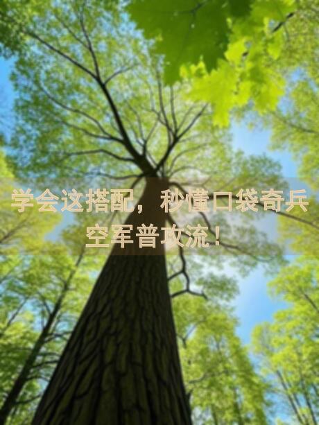 学会这搭配，秒懂口袋奇兵空军普攻流！