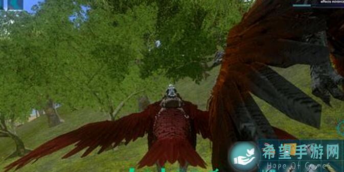 超数据世界：新人养宠物避坑全攻略，你了解吗？