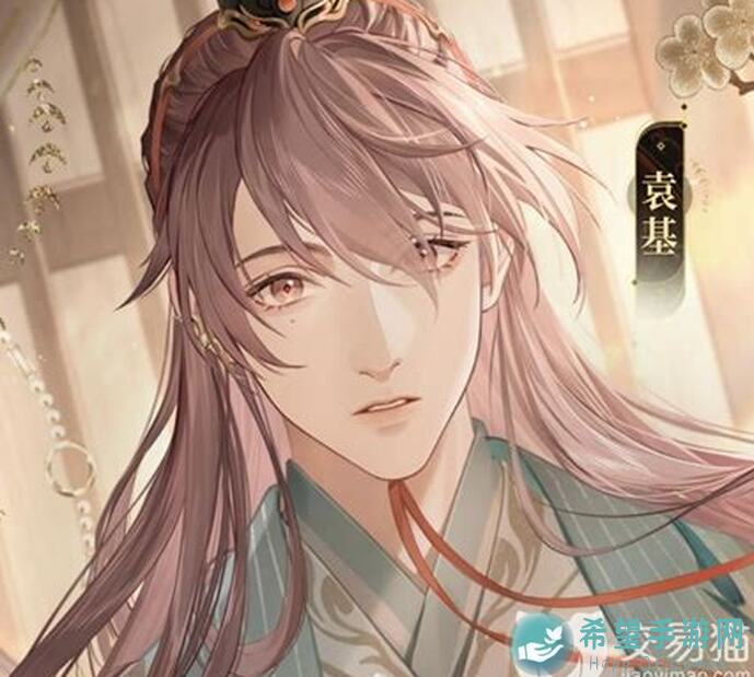 代号鸢桃园：十两盾两C一回能，新手必备攻略大揭秘！