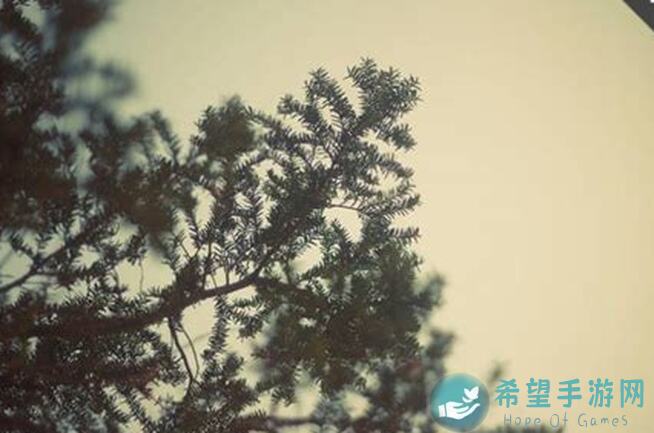 地球末日生存血泪经验：护甲减伤细节解析+交流答疑大盘点