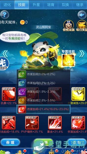 道友请留步！金霄宠物金玉荣华豹测评